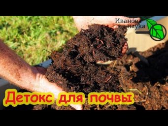 СНИМАЕМ ТОКСИКОЗ ПОЧВЫ. А вы знали, что у почвы тоже бывает токсикоз? Возвращаем почве чистоту.