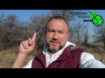 САМАЯ СТРАШНАЯ БОЛЕЗНЬ В САДУ. Обязательно делайте эту процедуру даже поздней осенью.