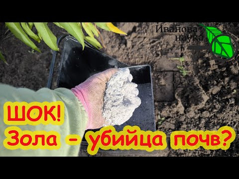 НЕ ПРИТРАГИВАЙТЕСЬ К ЗОЛЕ! Сперва узнайте, как правильно и безопасно использовать в саду и огороде. НЕ ПРИТРАГИВАЙТЕСЬ К ЗОЛЕ! Сперва узнайте, как правильно и безопасно использовать в саду и огороде.