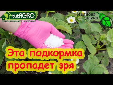 ПОДКОРМКИ НА ХОЛОДЕ и В ХОЛОДНОЙ ПОЧВЕ: худшие и лучшие удобрения. ПОДКОРМКИ НА ХОЛОДЕ и В ХОЛОДНОЙ ПОЧВЕ: худшие и лучшие удобрения.