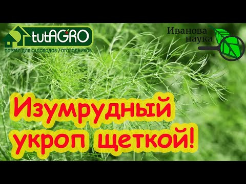 ОГОРОД СЕЕТ СЕБЯ САМ! Вырастить вкусные овощи без труда и забот. Сочный вкусный укроп - весь год! ОГОРОД СЕЕТ СЕБЯ САМ! Вырастить вкусные овощи без труда и забот. Сочный вкусный укроп - весь год!