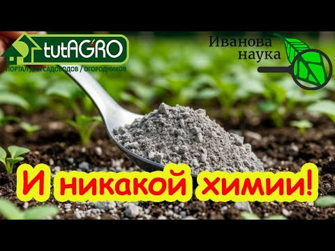 1 ЛОЖКА ЭТОГО ПОРОШКА и КОМПОСТНАЯ КУЧА ПРСЯДЕТ ДАЖЕ В МОРОЗ! Рыхлый плодородный компост уже весной.