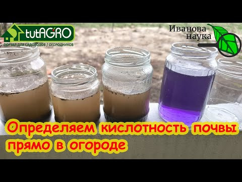 Проверка кислотности почвы на своем участке домашним способом: без приборов, бумажек и химикатов. Проверка кислотности почвы на своем участке домашним способом: без приборов, бумажек и химикатов.