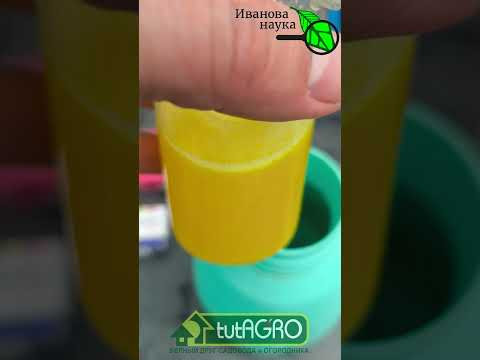 ЗОЛОТОЙ ЭЛИКСИР для рассады и урожая! Хватит тратиться на горы бесполезных средств! ЗОЛОТОЙ ЭЛИКСИР для рассады и урожая! Хватит тратиться на горы бесполезных средств!