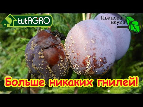 НИ ЖЕЛТЫХ ЛИСТЬЕВ, НИ ПЯТЕН: как избавиться от болезней в саду и в огороде раз и навсегда.