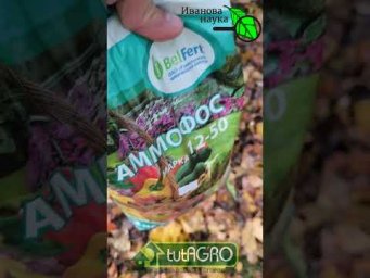 МУСОР, КОТОРЫЙ РАБОТАЕТ ЛУЧШЕ НАВОЗА! Надо просто приготовить домашний ускоритель компоста.