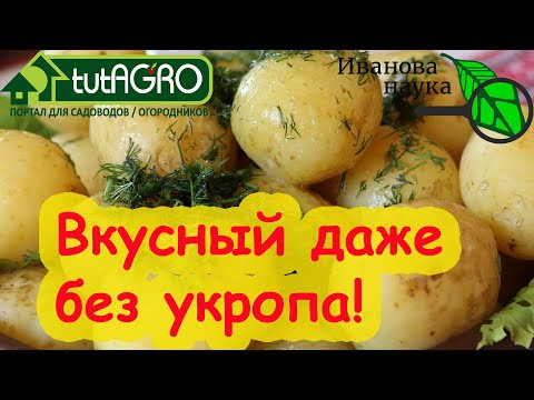 КАРТОФЕЛЬ от А до Я! Секреты раннего, здорового и вкусного картофеля. КАРТОФЕЛЬ от А до Я! Секреты раннего, здорового и вкусного картофеля.