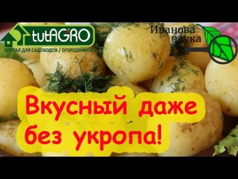 КАРТОФЕЛЬ от А до Я! Секреты раннего, здорового и вкусного картофеля.