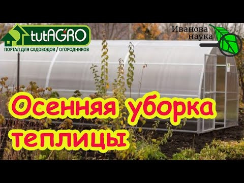 ДЕЗИНФЕКЦИЯ ПО СИДЕРАТАМ: чистка теплицы без серы и ядов. Эта комбинация быстро прогонит все плохое!