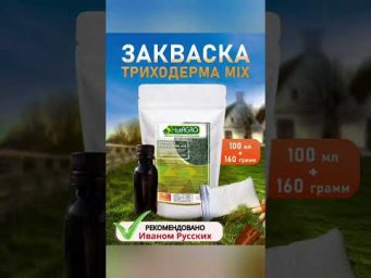 Цитрусовые корочки против морковной и луковой мухи - рецепт нерабочий.