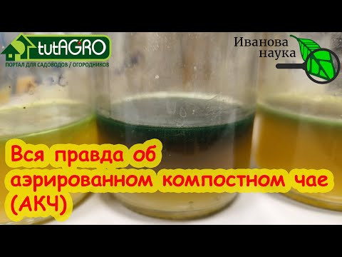 АЭРИРОВАННЫЙ КОМПОСТНЫЙ ЧАЙ (АКЧ): польза и опасность. Честно об АКЧ. Научная пятница. АЭРИРОВАННЫЙ КОМПОСТНЫЙ ЧАЙ (АКЧ): польза и опасность. Честно об АКЧ. Научная пятница.
