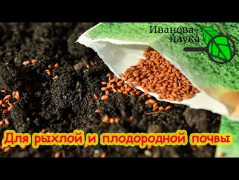 ПОСЛЕ СБОРА УРОЖАЯ ПОСЕЙТЕ ЭТОТ ИДЕАЬНЫЙ СИДЕРАТ: почва восстановится сама.