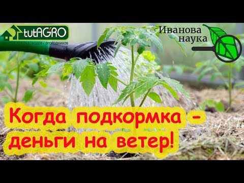 БЕЗ ЭТОГО МИНЕРАЛЬНЫЕ ПОДКОРМКИ - ДЕНЬГИ НА ВЕТЕР! Усиление подкормки в 10 раз! Научная пятница. БЕЗ ЭТОГО МИНЕРАЛЬНЫЕ ПОДКОРМКИ - ДЕНЬГИ НА ВЕТЕР! Усиление подкормки в 10 раз! Научная пятница.