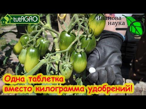 ГДЕ ВЗЯТЬ БЕСПЛАТНЫЙ КАЛЬЦИЙ ДЛЯ РАСТЕНИЙ. Рейтинг источников кальция: от бесполезного до лучшего!