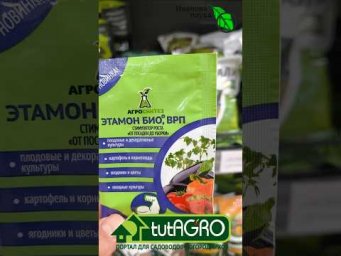 Рассада в холодной почве: как выжить и расти? Секрет профессионалов.
