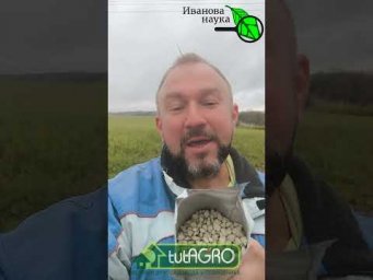 Что будет, если проглотить средство от мышей и крыс? Проверяю на себе.