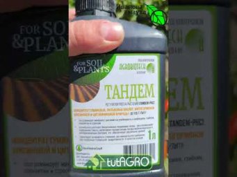 Всего пол стакана на весь сад! ОДНО СРЕДСТВО ОТ ВСЕГО! Сделайте так и весь сад будет чистым!