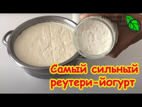 ЛАКТОБАКТЕРИЯ МОЛОДОСТИ БЕЗ ДРОЖЖЕЙ и ИНУЛИНА: готовим реутери по-новому. Она способна и на такое! ЛАКТОБАКТЕРИЯ МОЛОДОСТИ БЕЗ ДРОЖЖЕЙ и ИНУЛИНА: готовим реутери по-новому. Она способна и на такое!