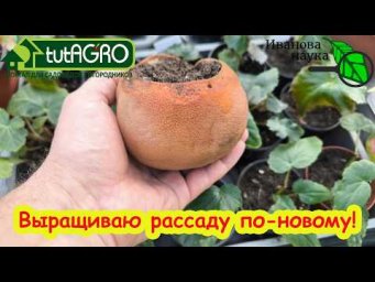 Проверил интернетный способ посева на рассаду: ШОК-РЕЗУЛЬТАТ! Лайфхак или лажа? Проверяю метод.