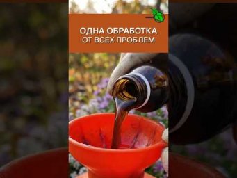 ОДНА ОБРАБОТКА ОТ ВСЕГО! Выжигает все болезни и вредителей за один день. Осенняя обработка сада