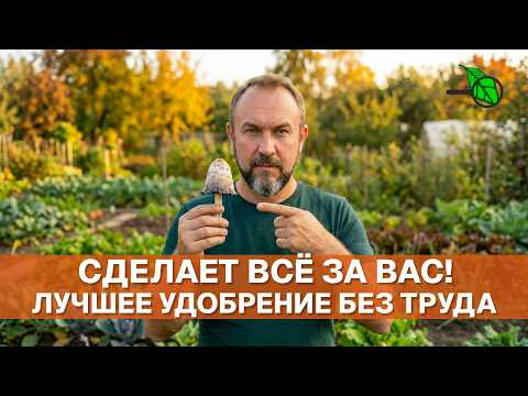ПЕРЕВАРИТ ВСЮ БОТВУ В СУПЕР УДОБРЕНИЕ ЗА ДЕНЬ! Идеальный компост без труда и усилий осенью