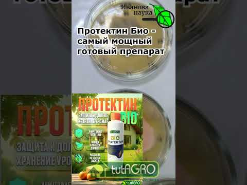 Никогда не смешивайте эти препараты! Результат сразу хуже в 100 раз! Никогда не смешивайте эти препараты! Результат сразу хуже в 100 раз!