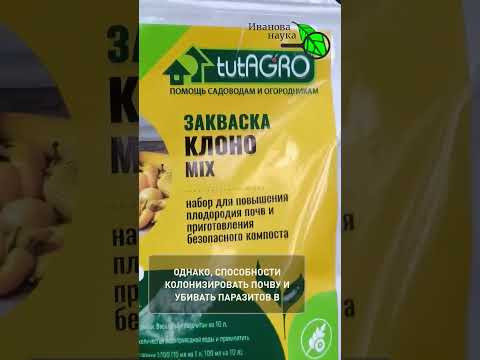 ЗАПОМНИТЕ ЭТО: вместо дорогих удобрений используйте эти натуральные средства!