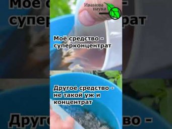 Чеснок желтеет? Он позеленеет через 2 дня! Хватит тратить деньги: вот вам лучшее средство для всего.