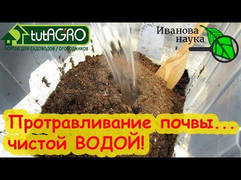 КАК ПРОТРАВИТЬ и ОБЕЗВРЕДИТЬ ПОЧВУ... ОБЫЧНОЙ ВОДОЙ! Чем протравить почву безопасно и бесплатно? КАК ПРОТРАВИТЬ и ОБЕЗВРЕДИТЬ ПОЧВУ... ОБЫЧНОЙ ВОДОЙ! Чем протравить почву безопасно и бесплатно?