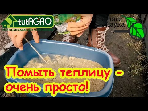 ТЕПЛИЦА ВЕСНОЙ: ЧЕМ и КАК ПОМЫТЬ ПОЛИКАРБОНАТНУЮ ТЕПЛИЦУ? Вот самый лучший способ подготовки теплицы ТЕПЛИЦА ВЕСНОЙ: ЧЕМ и КАК ПОМЫТЬ ПОЛИКАРБОНАТНУЮ ТЕПЛИЦУ? Вот самый лучший способ подготовки теплицы