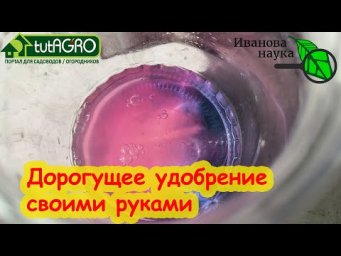 В 6 РАЗ ДЕШЕВЛЕ МОНОФОСФАТА КАЛИЯ! Приготовьте этот раствор для подкормки рассады и всех растений.