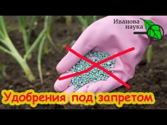 АЗОТНЫЕ УДОБРЕНИЯ ОСЕНЬЮ. Какие удобрения можно вносить осенью. Запретное удобрение № 1.