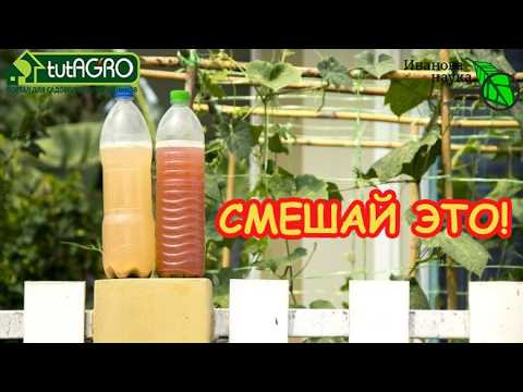 ВМЕСТО дорогих удобрений! "Две копейки" - и огород спасен! Уникальный способ из двух компонентов. ВМЕСТО дорогих удобрений! "Две копейки" - и огород спасен! Уникальный способ из двух компонентов.