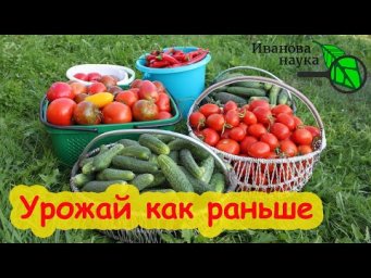 ГЛАВНЫЙ СЕКРЕТ УСПЕШНОГО ЗЕМЛЕДЕЛИЯ. Что надо делать, чтобы урожай был как раньше - большой.