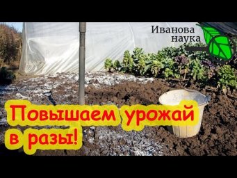 БЕСПЛАТНОЕ УДОБРЕНИЕ № 1 ДЛЯ ВНЕСЕНИЯ ОСЕНЬЮ и РАННЕЙ ВЕСНОЙ. Не забудьте внести это удобрение.