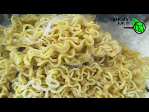 ЭТО ВИДЕО МОЖЕТ ВАС ШОКИРОВАТЬ. Еда для туристов. Самый главный совет в путешествие. ЭТО ВИДЕО МОЖЕТ ВАС ШОКИРОВАТЬ. Еда для туристов. Самый главный совет в путешествие.