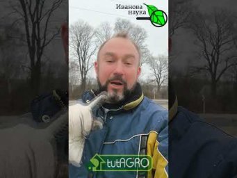 СУПЕР Грунт! Бесплатная земля для рассады. Забудьте о покупном грунте! Берем землю ЗДЕСЬ.
