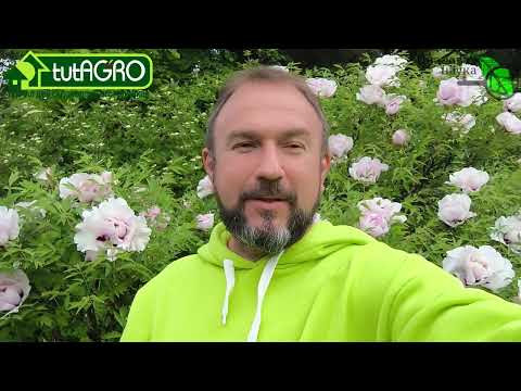 Канал ИВАНОВА НАУКА: как все устроено. Как лучшим образом получить консультацию и ответ на вопрос. Канал ИВАНОВА НАУКА: как все устроено. Как лучшим образом получить консультацию и ответ на вопрос.