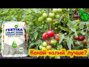 УДОБРЯЕМ ОСЕНЬЮ в 5 РАЗ ДЕШЕВЛЕ! Какой калий надо вносить осенью в грядки.