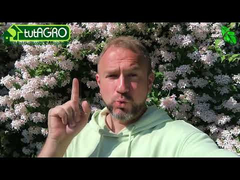 ОСТОРОЖНО! Двери открываются! Закрывать или открывать теплицу на ночь? ОСТОРОЖНО! Двери открываются! Закрывать или открывать теплицу на ночь?