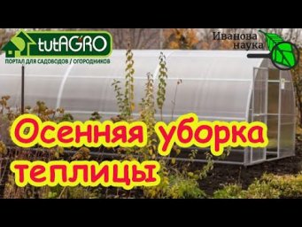 ДЕЗИНФЕКЦИЯ ПО СИДЕРАТАМ: чистка теплицы без серы и ядов. Эта комбинация быстро прогонит все плохое!