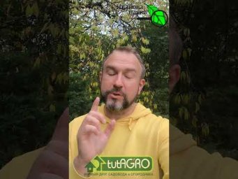 В 200 РАЗ ЭФФЕКТИВНЕЕ,  В 2 РАЗА ЭКОНОМНЕЕ! Рецепт супер сильной железной обработки всего сада.