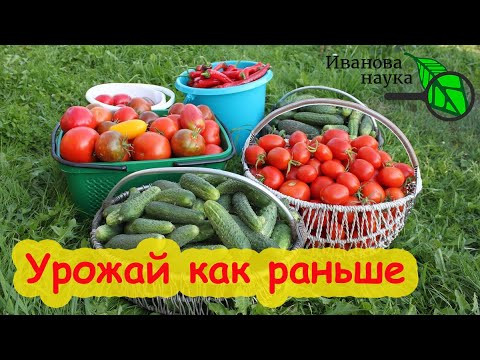 ГЛАВНЫЙ СЕКРЕТ УСПЕШНОГО ЗЕМЛЕДЕЛИЯ. Что надо делать, чтобы урожай был как раньше - большой. ГЛАВНЫЙ СЕКРЕТ УСПЕШНОГО ЗЕМЛЕДЕЛИЯ. Что надо делать, чтобы урожай был как раньше - большой.