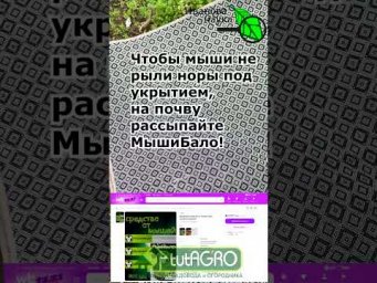 НЕ ВЫБРАСЫВАЙТЕ КОВРЫ и ЛИНОЛЕУМ! Вот куда их нужно применить. Пышная почва без сорняков!