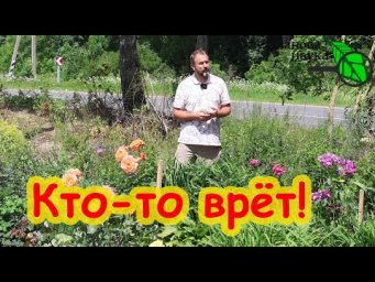 ШОК! Вот как пришла ПОПУЛЯРНОСТЬ! Зрители в опасности! В Telegram сплошной обман!
