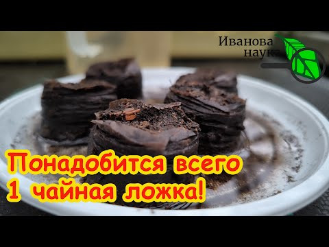 ПРЕВРАЩАЕМ ОБЫЧНЫЙ ТОРФ в НАСТОЯЩЕЕ ЧУДО! Одна ложка и рассада как с картинки. ПРЕВРАЩАЕМ ОБЫЧНЫЙ ТОРФ в НАСТОЯЩЕЕ ЧУДО! Одна ложка и рассада как с картинки.