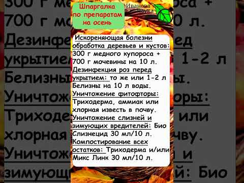 Шпаргалка памятка по препаратам для осени для сада и огорода. Искореняющая обработка, компост, розы. Шпаргалка памятка по препаратам для осени для сада и огорода. Искореняющая обработка, компост, розы.