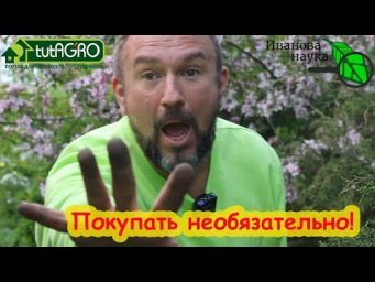 МИКОРИЗА СВОИМИ РУКАМИ. Как приготовить микоризу БЕЗ ЗАКВАСКИ для голубики, клубники и всех растений
