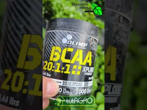 ВМЕСТО ДОРОГИХ ПРЕПАРАТОВ: чем заменить Изабион, Аминофол, Аминосил, Аминорост, Аминоцимус и т.п. ВМЕСТО ДОРОГИХ ПРЕПАРАТОВ: чем заменить Изабион, Аминофол, Аминосил, Аминорост, Аминоцимус и т.п.