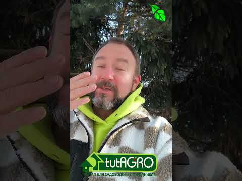 Самоочищение сада и огорода от вредителей. Как избавиться от вредителей на участке без обработок? Самоочищение сада и огорода от вредителей. Как избавиться от вредителей на участке без обработок?